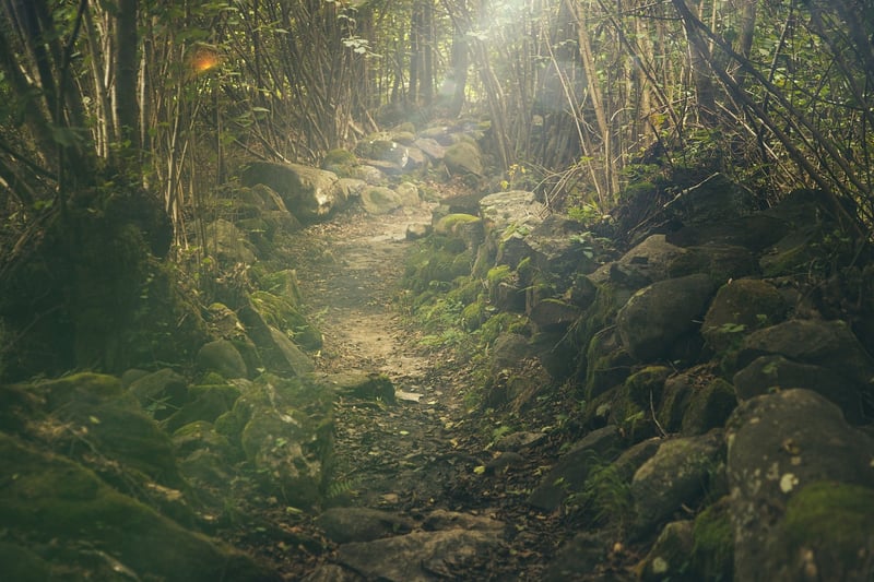 Nature Walk