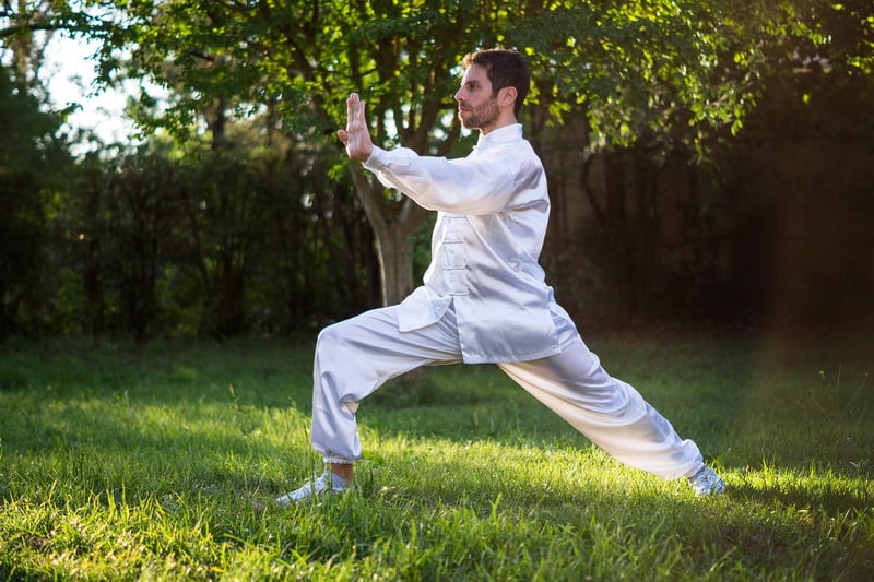 Tai Chi Fan Image
